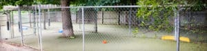 Pet Daycare Raleigh NC